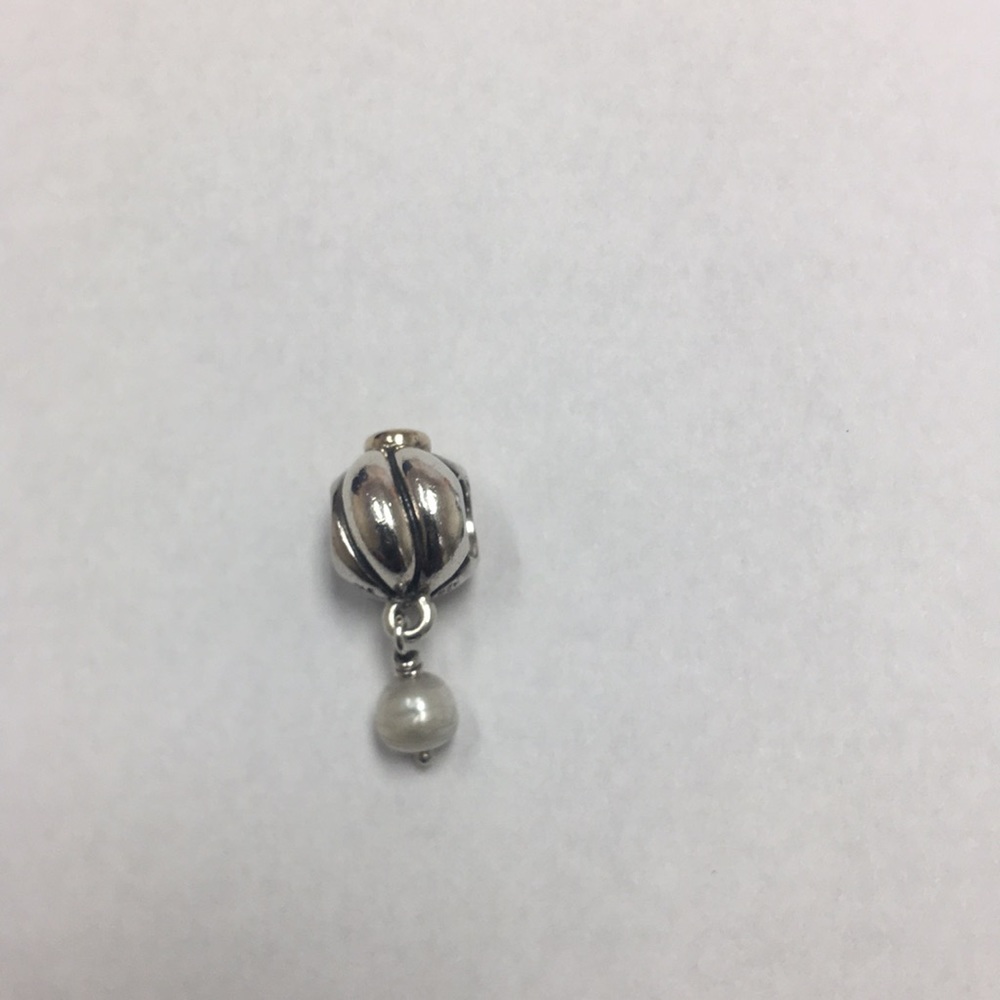 Pandora charm